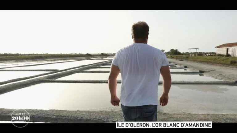 a salt worker from the island of Oléron explains how a salt marsh works