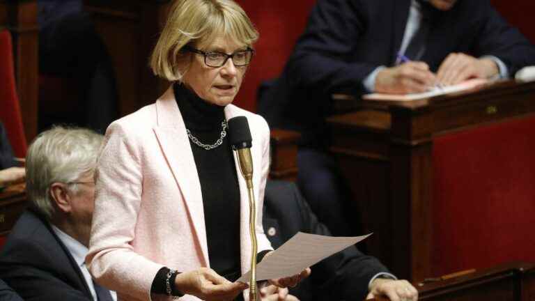 a “simple device” will replace the government’s “gas plant”, according to LR Véronique Louwagie