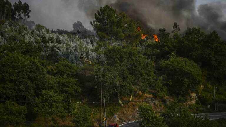 a water bomber crashes, killing the pilot