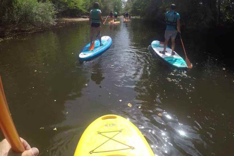 a young girl dies during a paddle outing in the Tarn