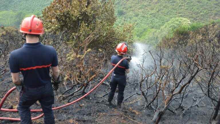 after the fires, a man arrested