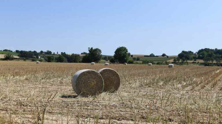 almost the entire Mayenne department goes into the red