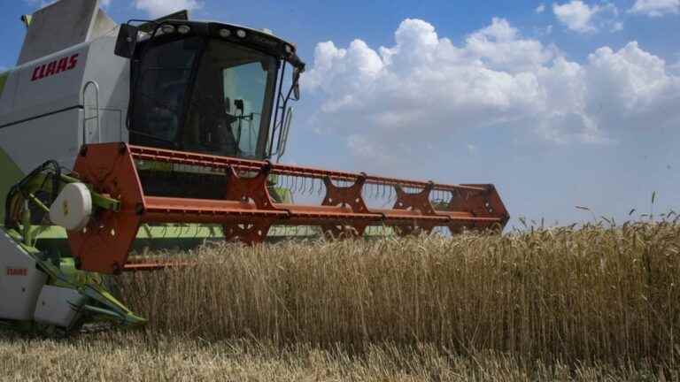 an agreement for the resumption of grain exports will be signed on Friday in Turkey