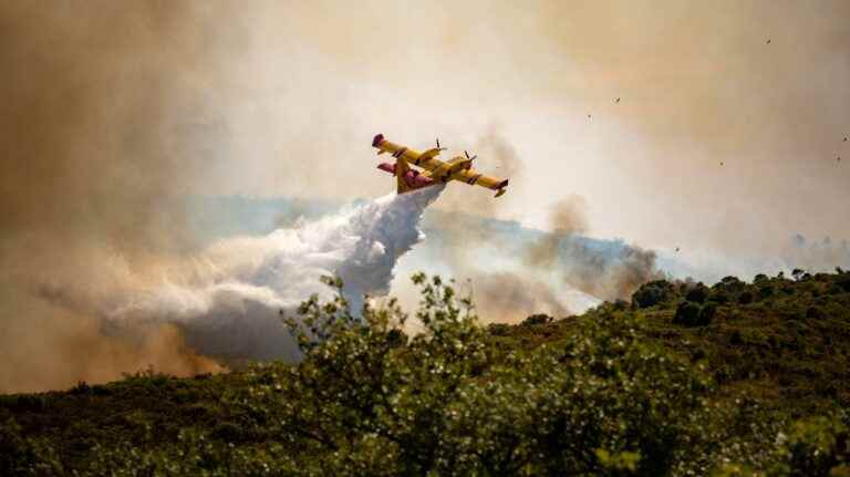 approximately 700 hectares destroyed by fires, two firefighters slightly injured