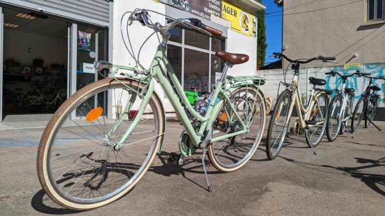 bike rentals pass the second in July