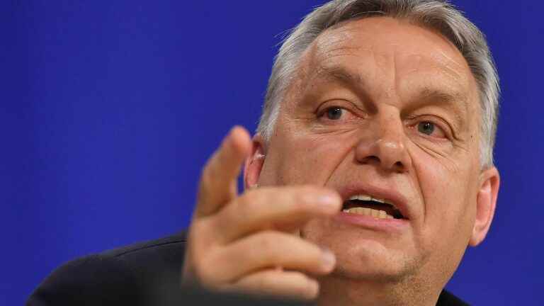 by declaring that he does not want a “mixed race”, what is Viktor Orban looking for?