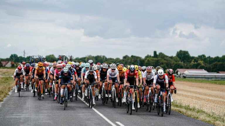 DIRECT.  Tour de France women 2022: a breakaway of four riders including Victoire Berteau with a three-minute lead over the peloton… Follow the 5th stage