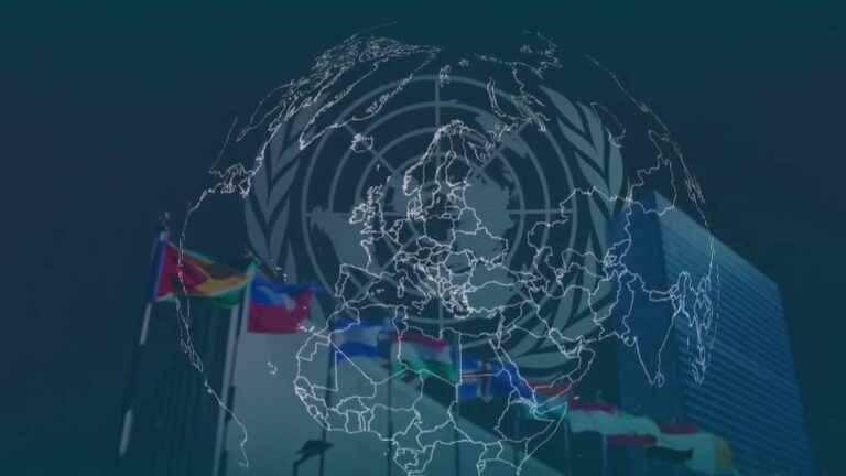 does the UN still have a role to play?