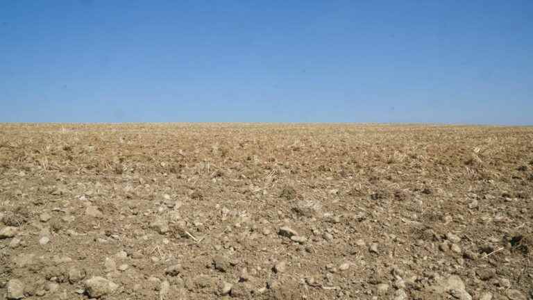 drought raises fears of shortages