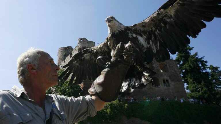 exceptional closure of the Volerie des Aigles following a case of avian flu