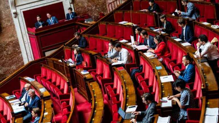 fatigue peaks among deputies after three weeks of intense debates in the National Assembly