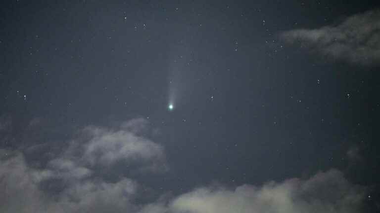 franceinfo junior.  A space mission will study a comet