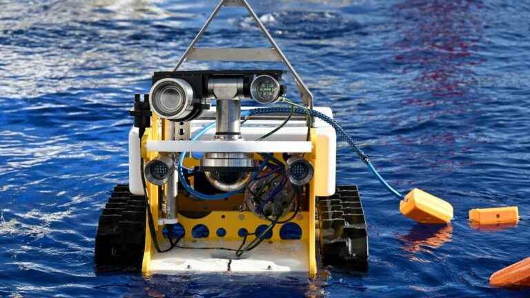 franceinfo junior.  What you need to know about the BathyBot robot, which will explore the seabed in the Mediterranean