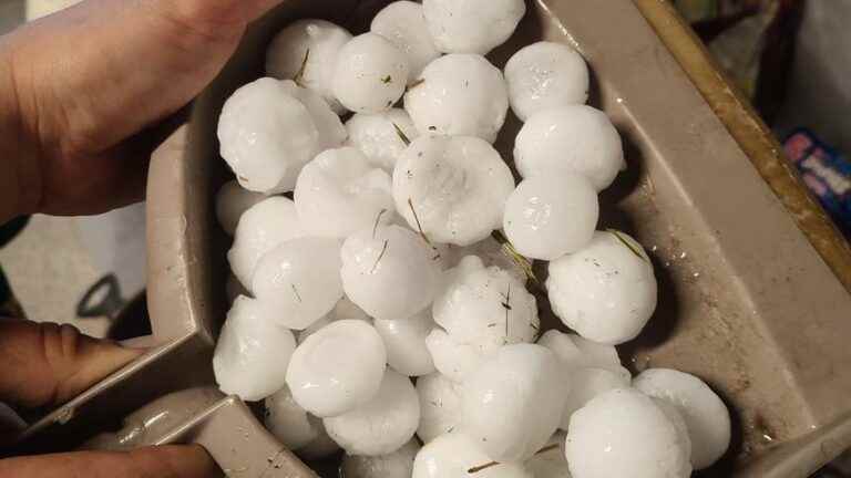 hailstones caused damage in the east of the department