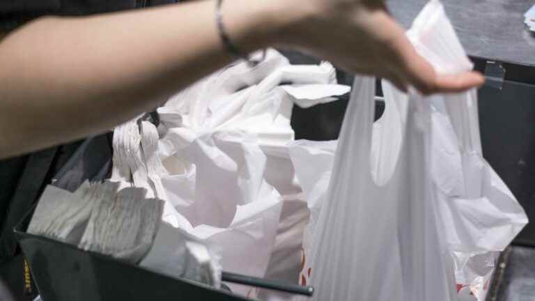 have plastic bags really disappeared since they were banned?