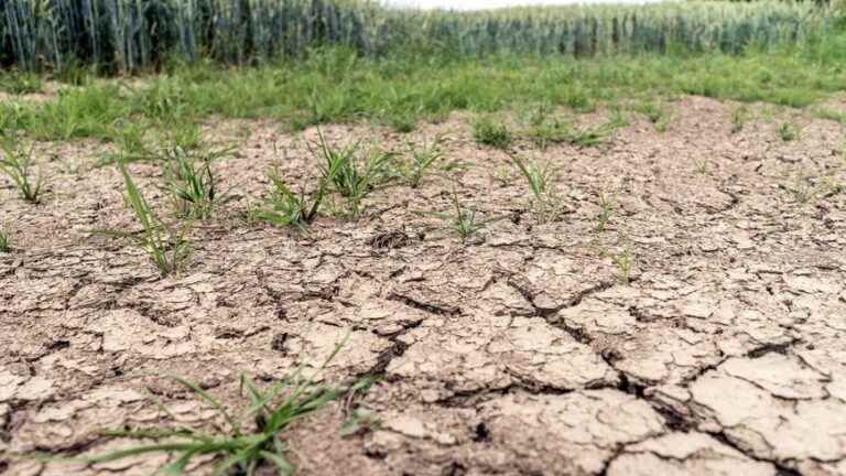 heightened alert in the Oudon basin in southern Mayenne