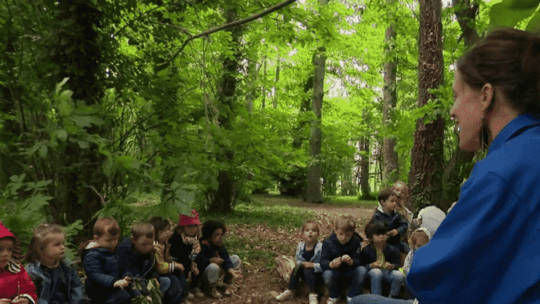 in Belle-Île-en-Mer, a teacher teaches in the forest