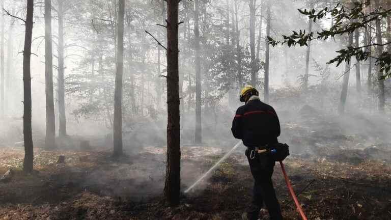 in Fontainebleau, the National Forestry Office wants to prevent fires