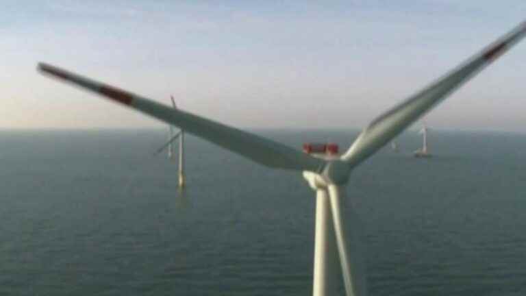 in Oléron, the remoteness of an offshore wind farm by the government does not reassure