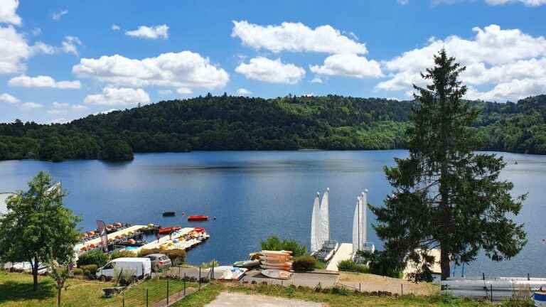 in Puy-de-Dôme, scientists succeed in limiting the scourge of cyanobacteria that proliferate in summer