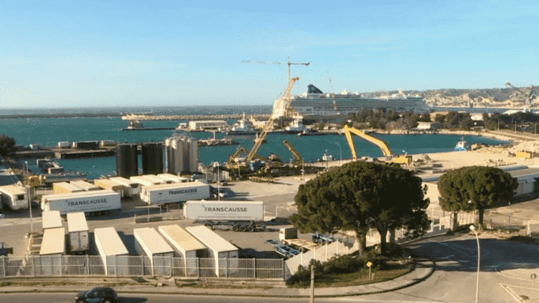 liners and cruise ships in the viewfinder in Marseille