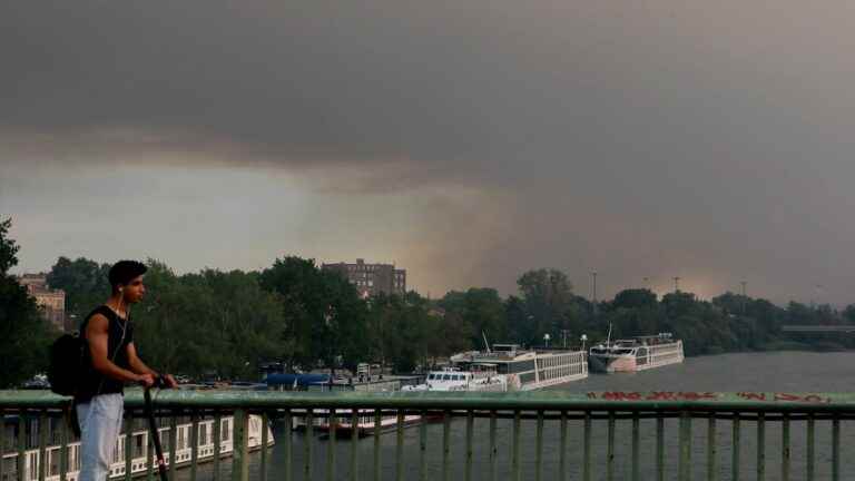 nearly 1,000 hectares of forest gone up in smoke in the Montagnette massif