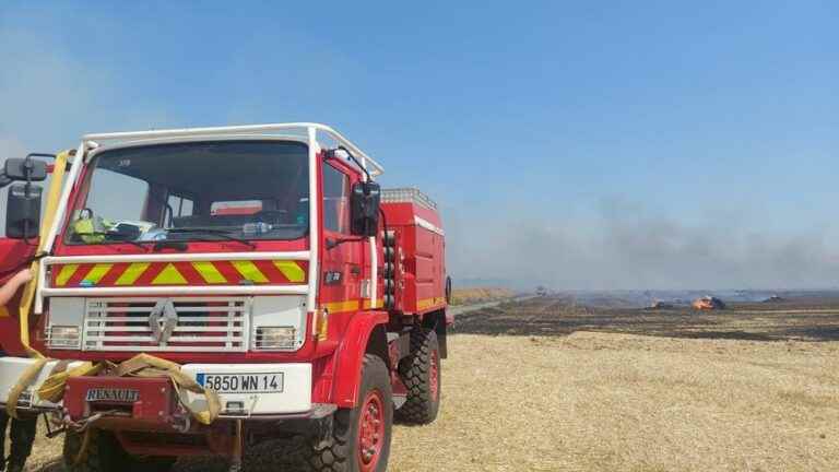 nearly 200 hectares of vegetation burned since the beginning of July