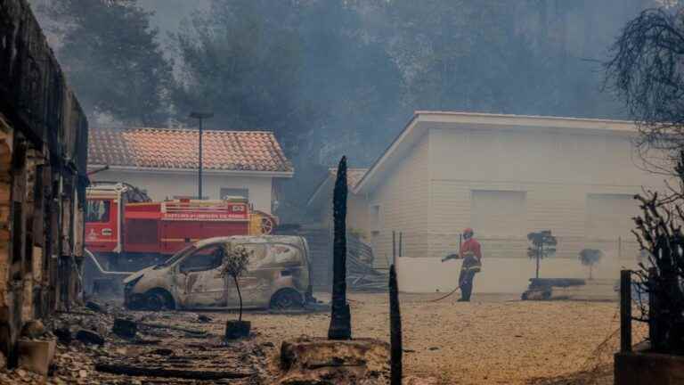 nearly 300 pets rescued in the village of Cazaux