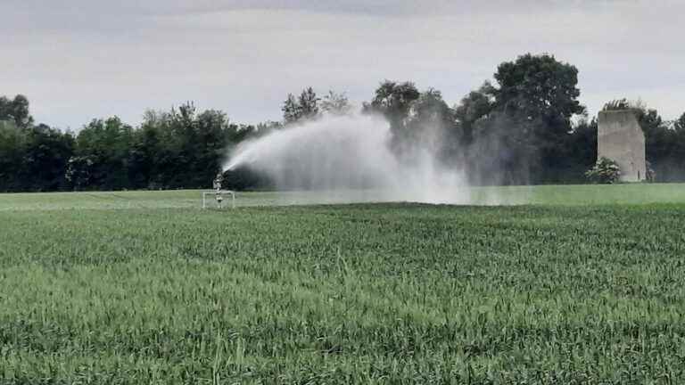 of Vendée farmers broke irrigation rules