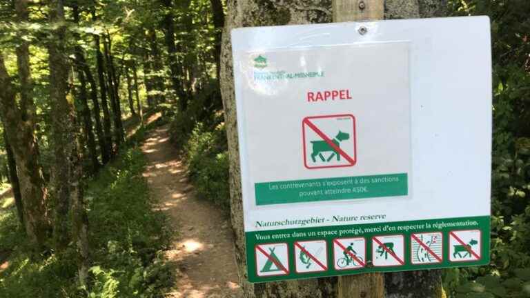 on the Sentier des Roches, dogs prohibited and hikers urged to be careful