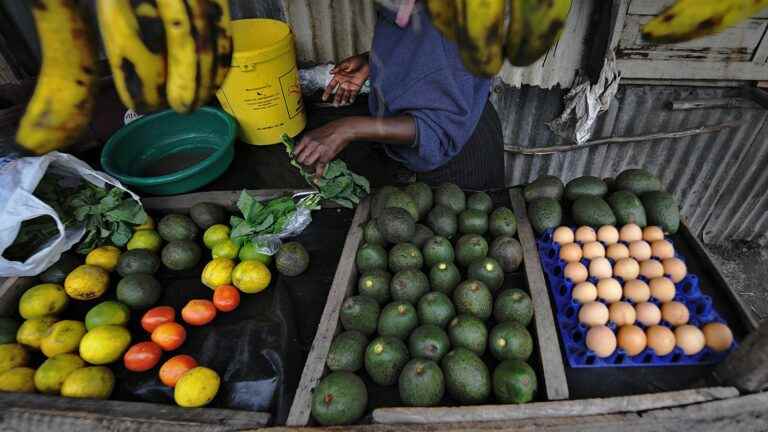 one in five Africans went hungry in 2021