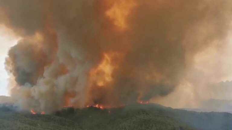 southern Europe ravaged by fires