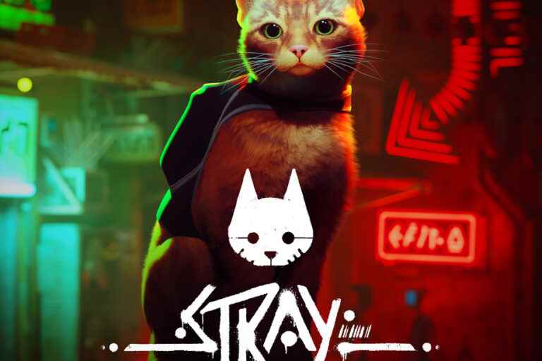 stray |  Cat games and videos ★★★★