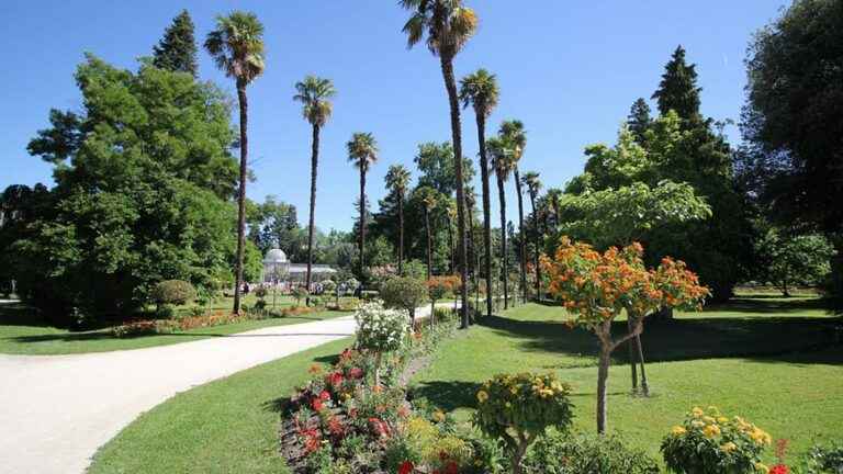 the Massey garden labeled “remarkable garden”