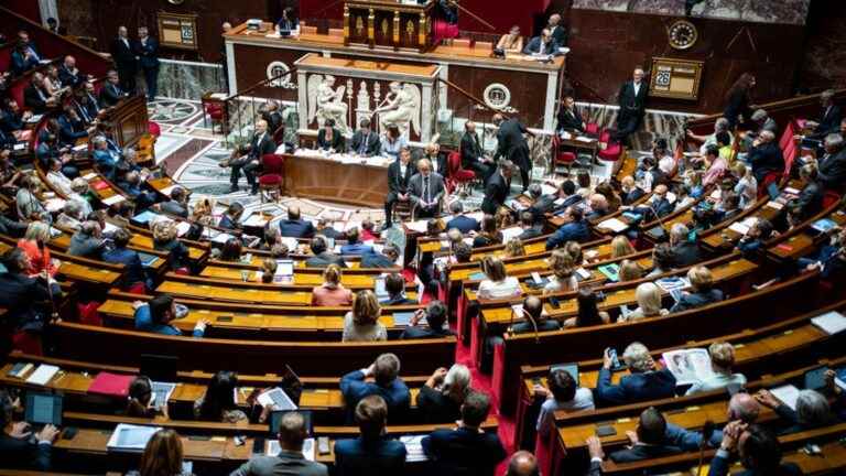 the National Assembly votes 500 million euros to increase pensions, against the advice of the government