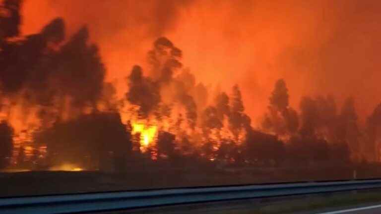 the flames ravage southern Europe