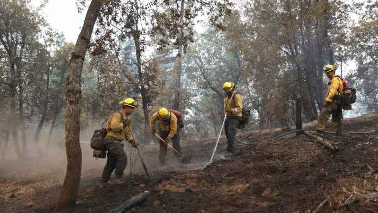 the giant “Oak Fire” is spreading at full speed in California, near Yosemite Park