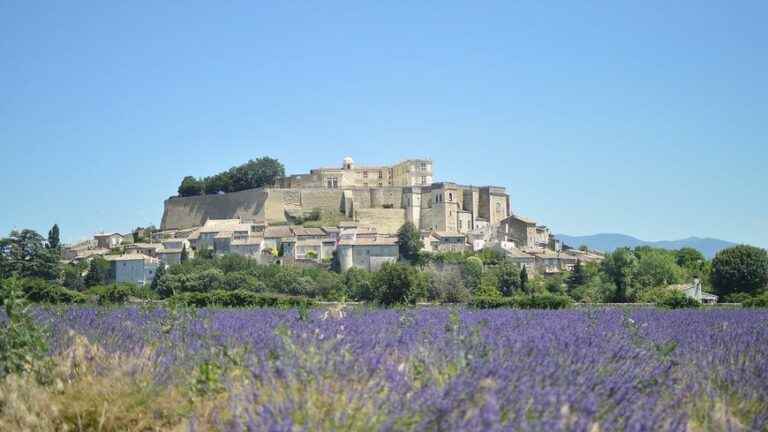 the lavender fields soon to be a UNESCO World Heritage Site?