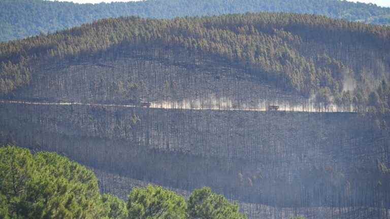 the site of the fire in the Cévennes kept under surveillance