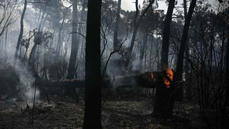 the smell of burning is now felt as far as Ile-de-France, a “fairly classic phenomenon” according to Météo France