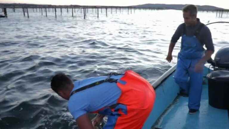 the traditional know-how of the fishermen of the Etang de Thau