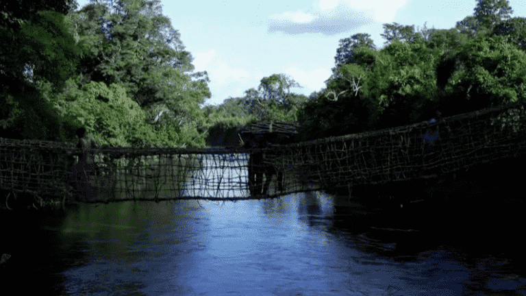 the vine bridges, sacred tradition of the Yacouba