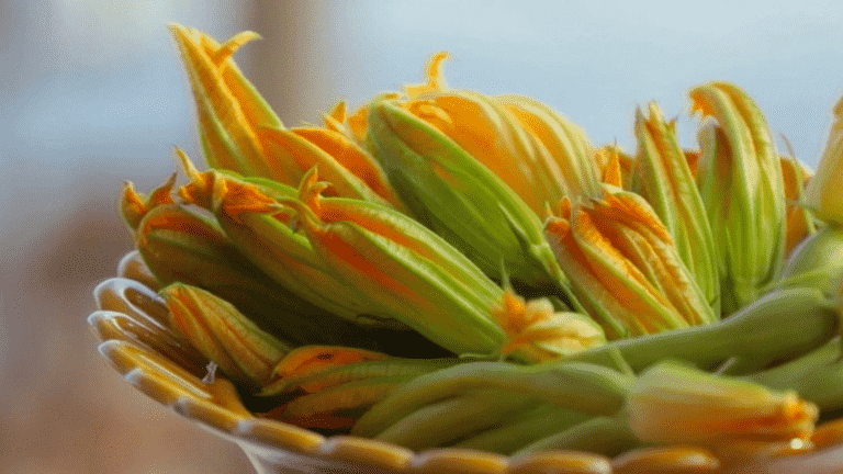 the zucchini flower fritter, a staple of the Provençal aperitif