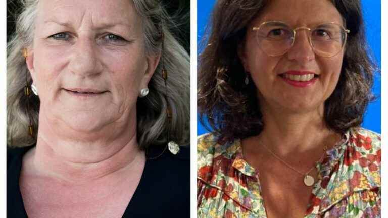 two former macronist deputies Valérie Oppelt and Martine Leguille-Balloy confide