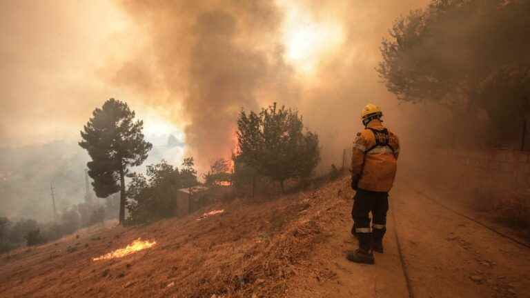 10,000 hectares burned and more than 1,500 firefighters mobilized against a fire in a natural park in the center of the country