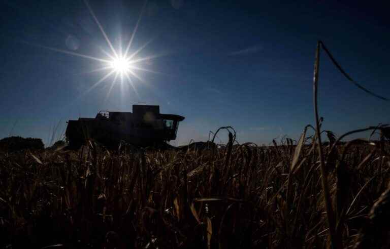 Much of England declared in drought