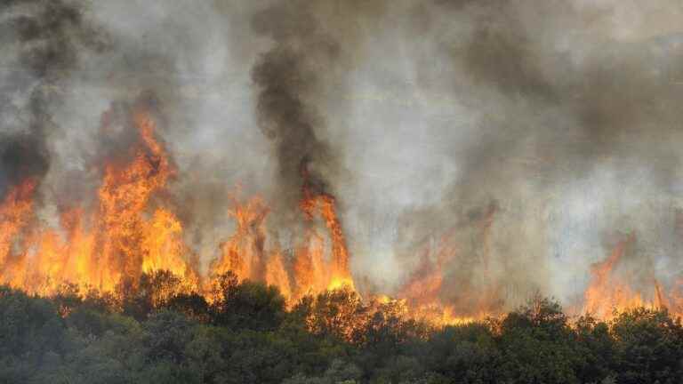 26 people died due to fires affecting 14 departments, reports the Algerian Minister of the Interior