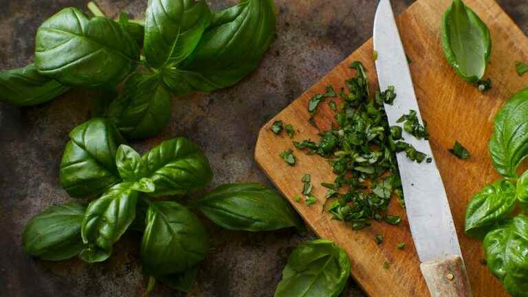 3 recipes with basil that are out of the ordinary