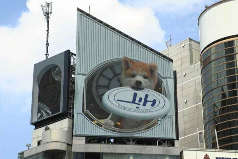 3D dog jumps on advertising screens in Tokyo