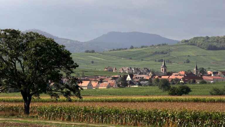 70 years of the Cave de Beblenheim